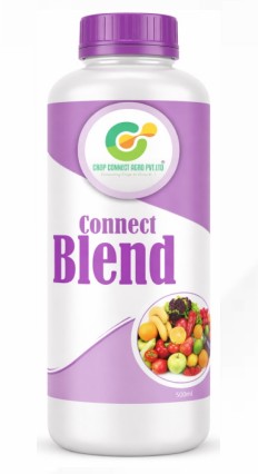 Connect Blend